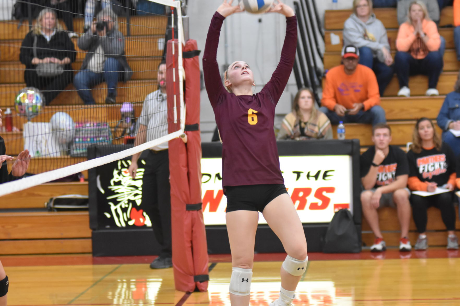 (Medford VB) Julia Niles.JPG